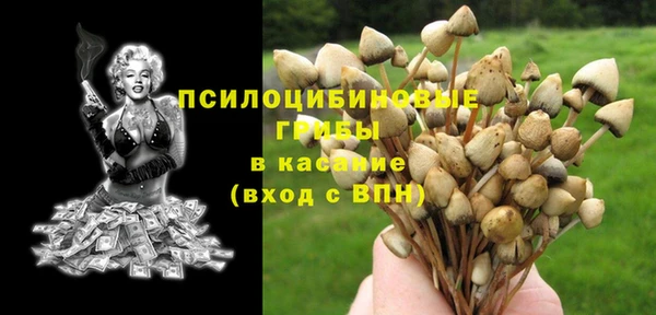 2c-b Балабаново