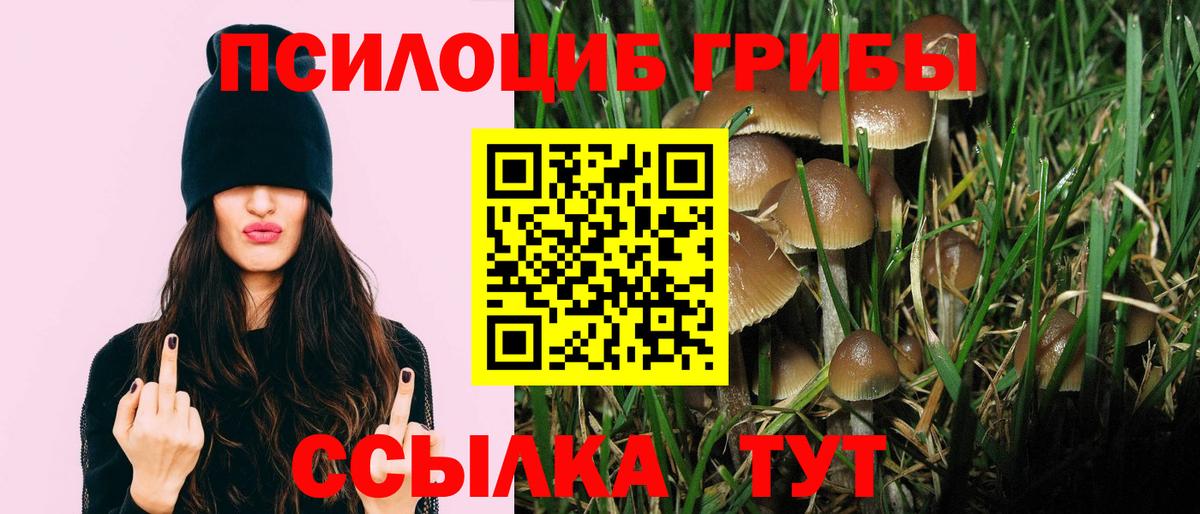 Псилоцибиновые грибы Cubensis  купить наркотик  Горячий Ключ 