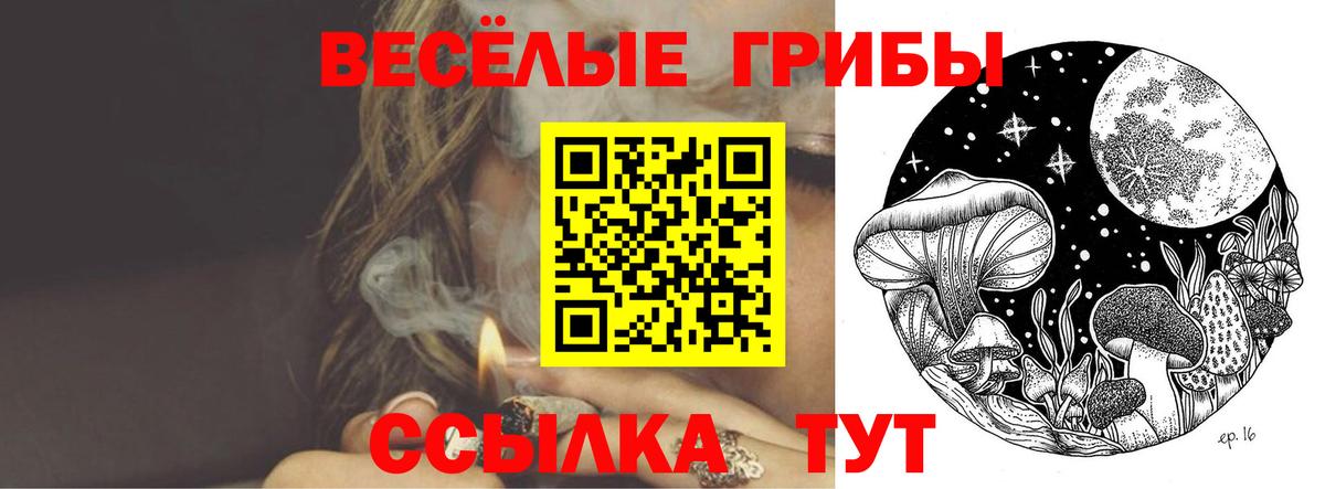 Псилоцибиновые грибы MAGIC MUSHROOMS Горячий Ключ