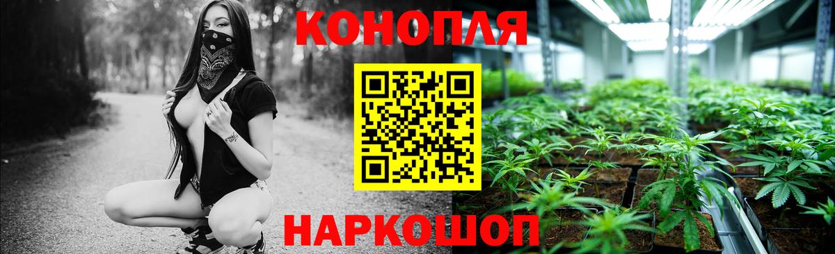 Бошки марихуана конопля Горячий Ключ